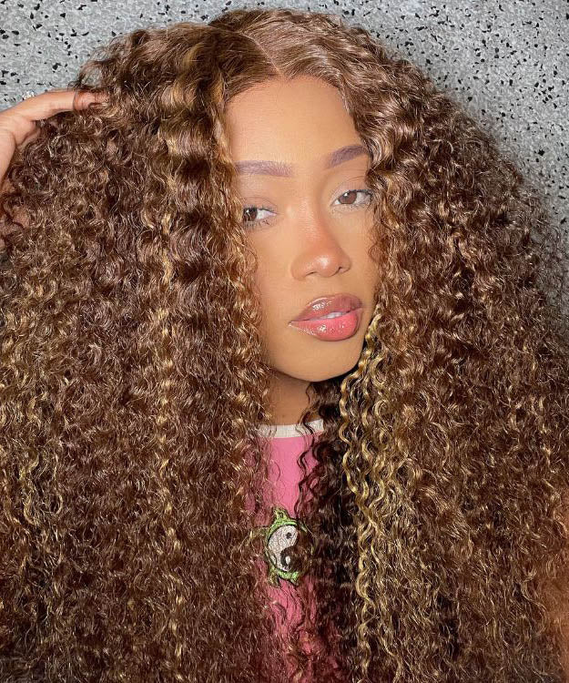 Honey Blonde Highlight Wig Curly Human Hair Wig Transparent Lace Front Pre Plucked