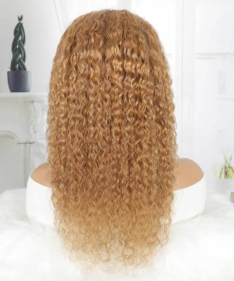 Honey Blonde #27 Colored HD Lace Frontal Human Hair Wigs Water Wave Wigs For Women